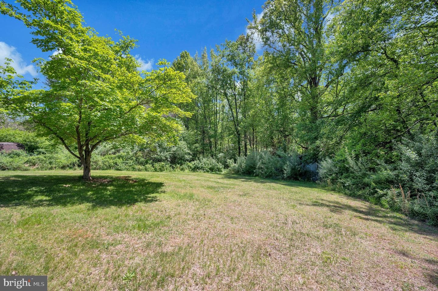 15025 Woodland Church Road photo 15