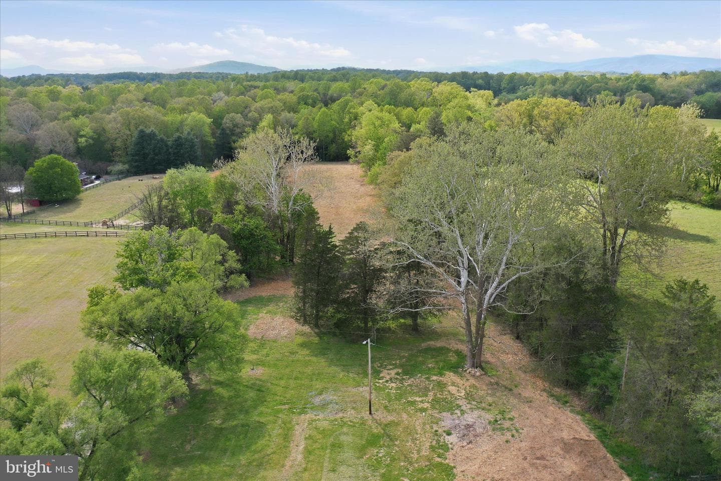 2502 Holly Springs Drive photo 41