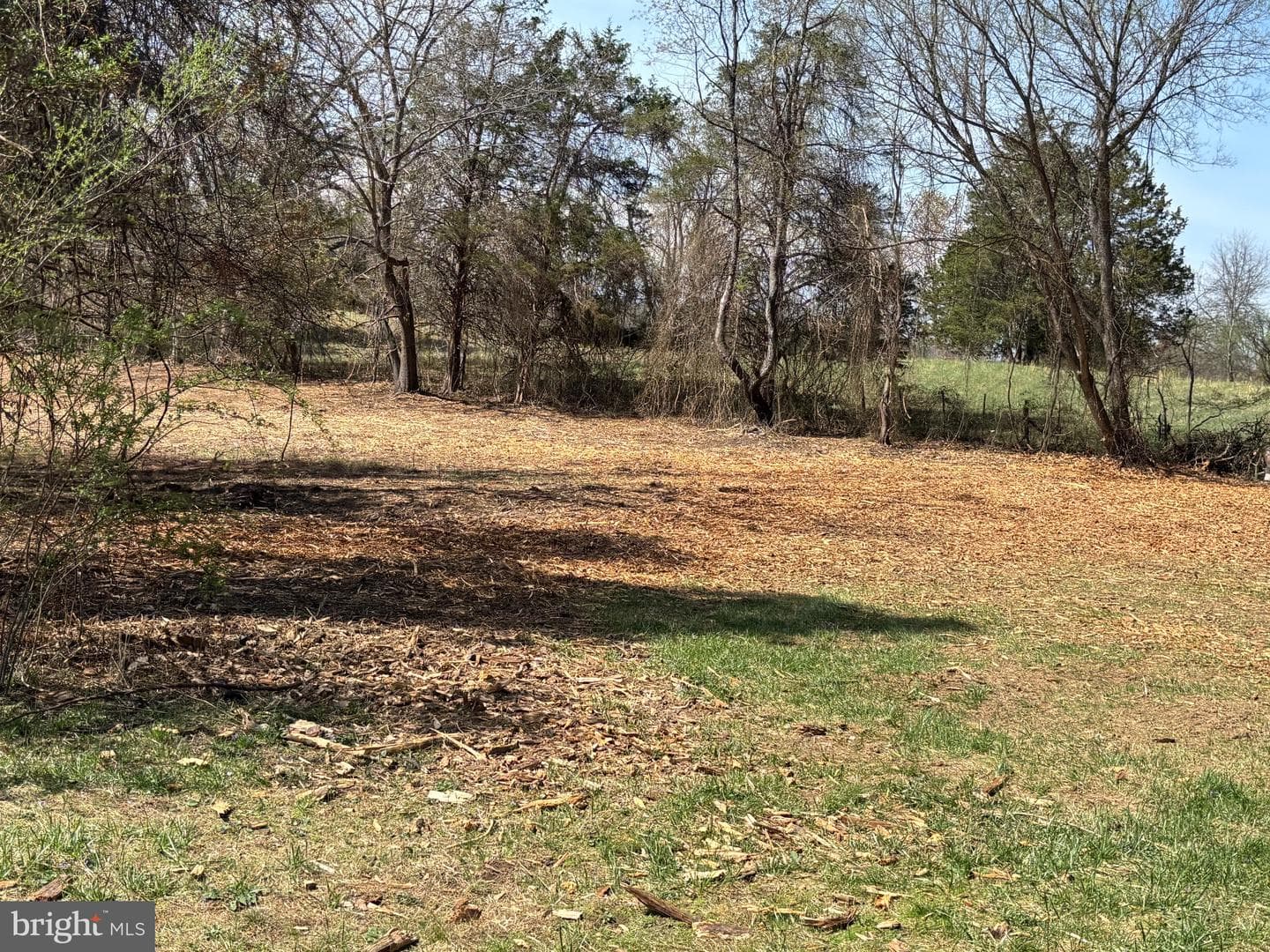 2502 Holly Springs Drive photo 48