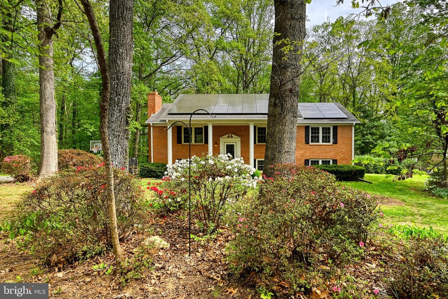12365 Randle Lane photo 47