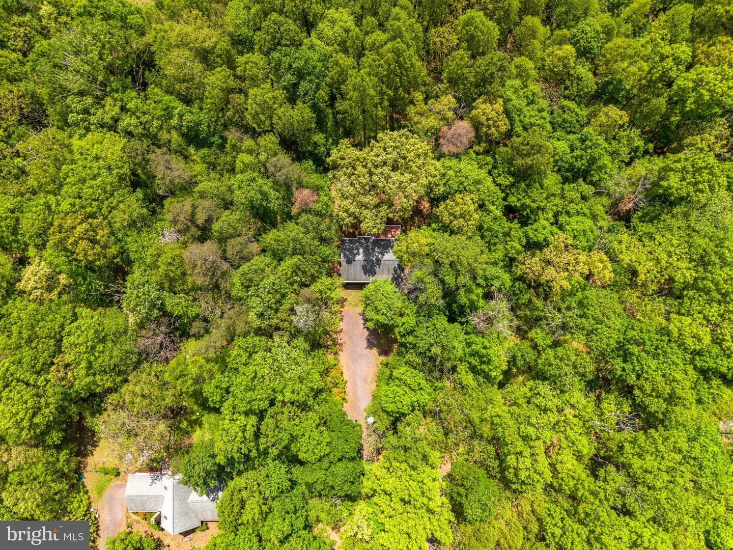 19106 Loggers Road photo 39