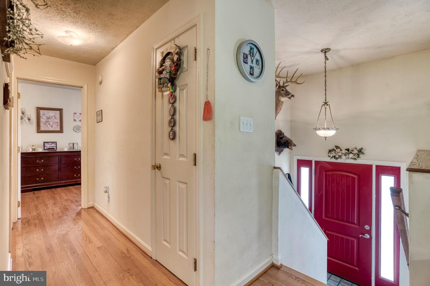 8427 Tall Oak Drive photo 13