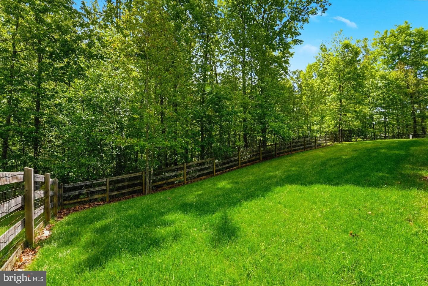14254 Deertrack Trl photo 53