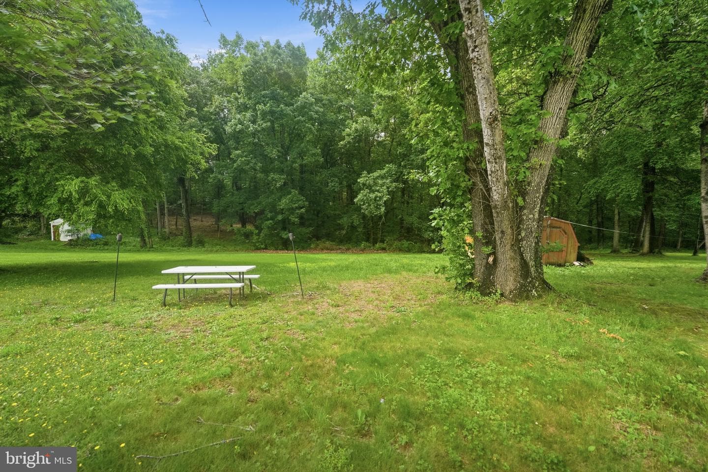 8398 Kirtley Trail photo 22