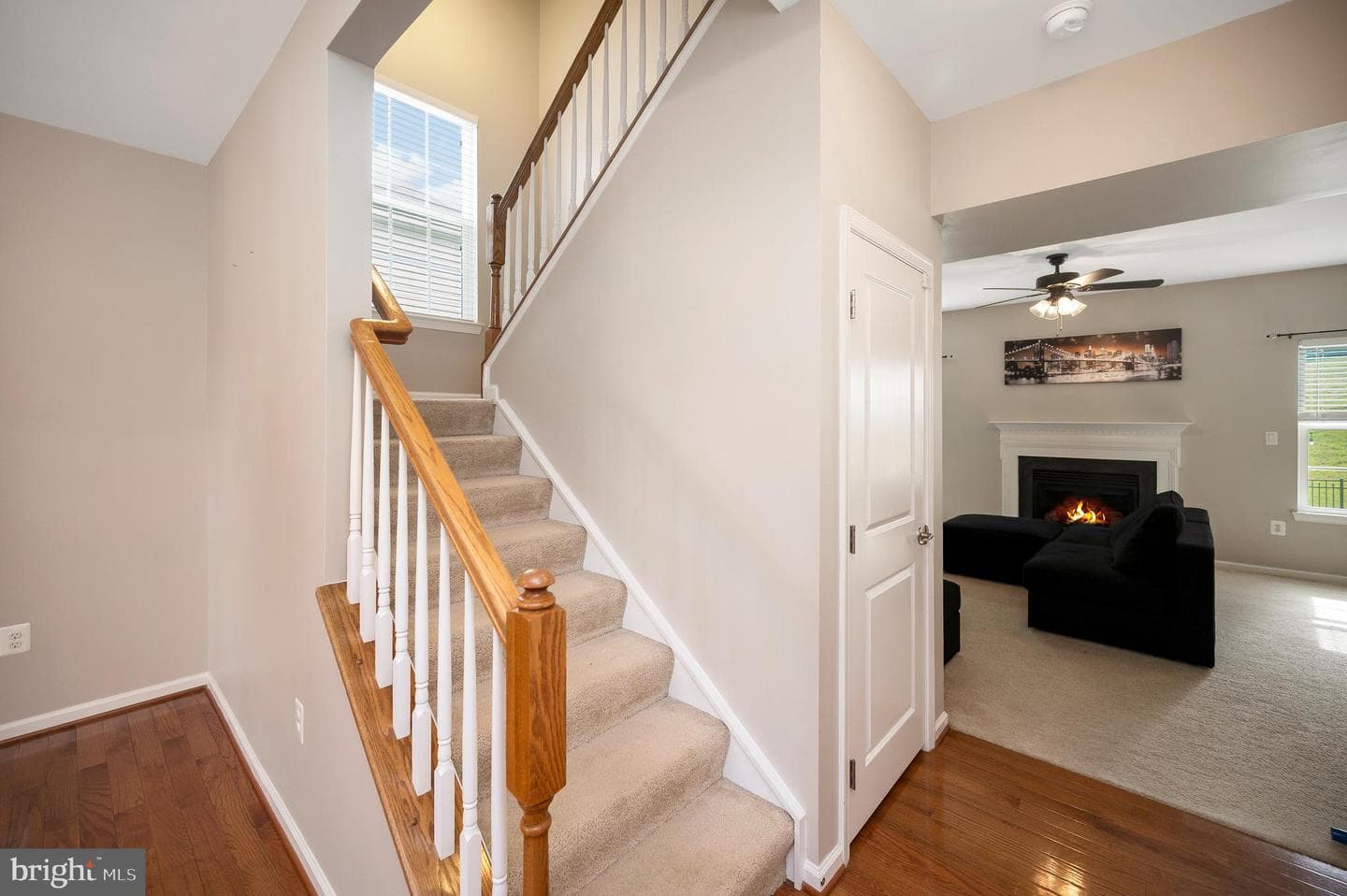 12037 Live Oak Drive photo 14
