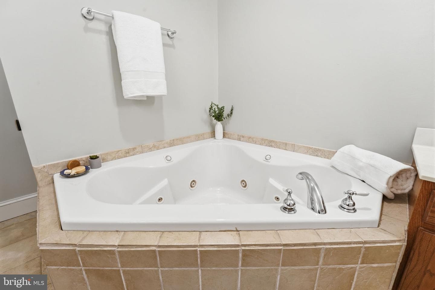 16082 Lily Hill Way photo 33