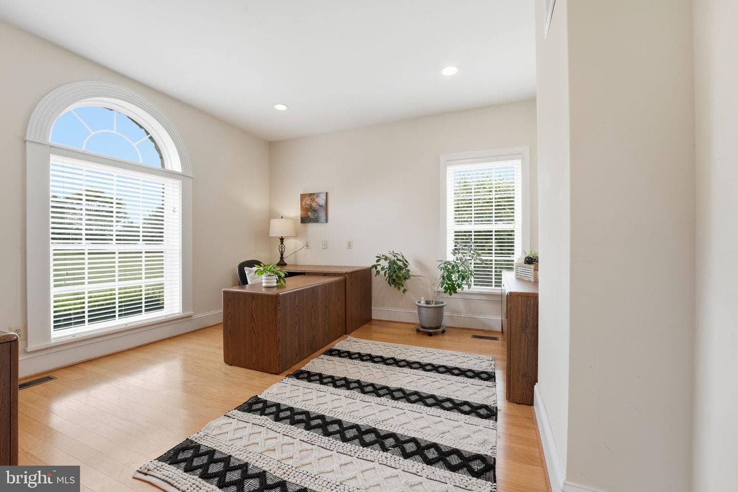 16082 Lily Hill Way photo 9