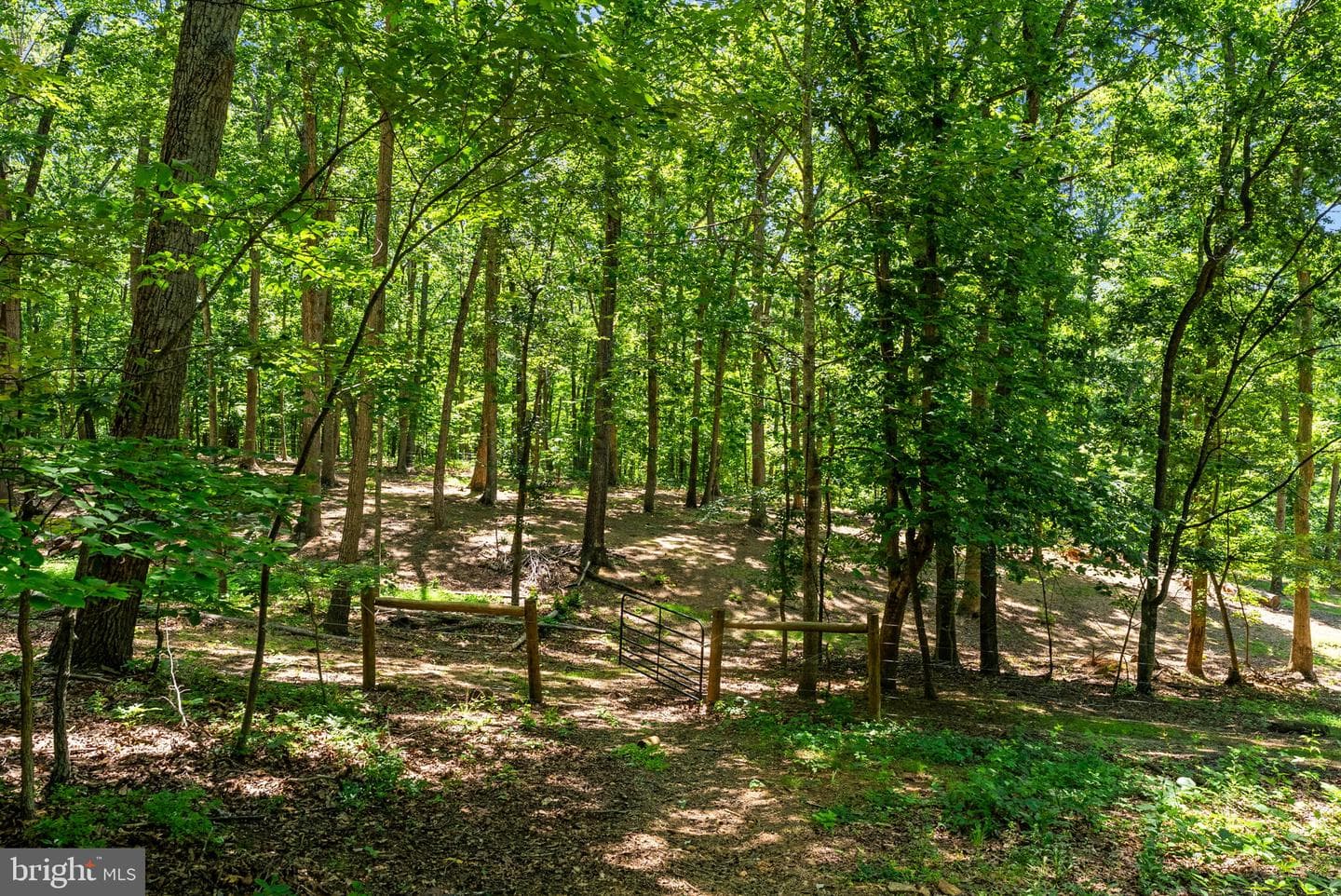 10275 Mountain Run Lake Road photo 82
