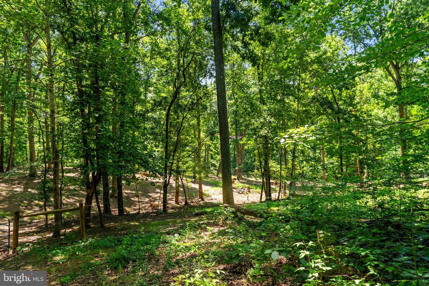10275 Mountain Run Lake Road photo 83