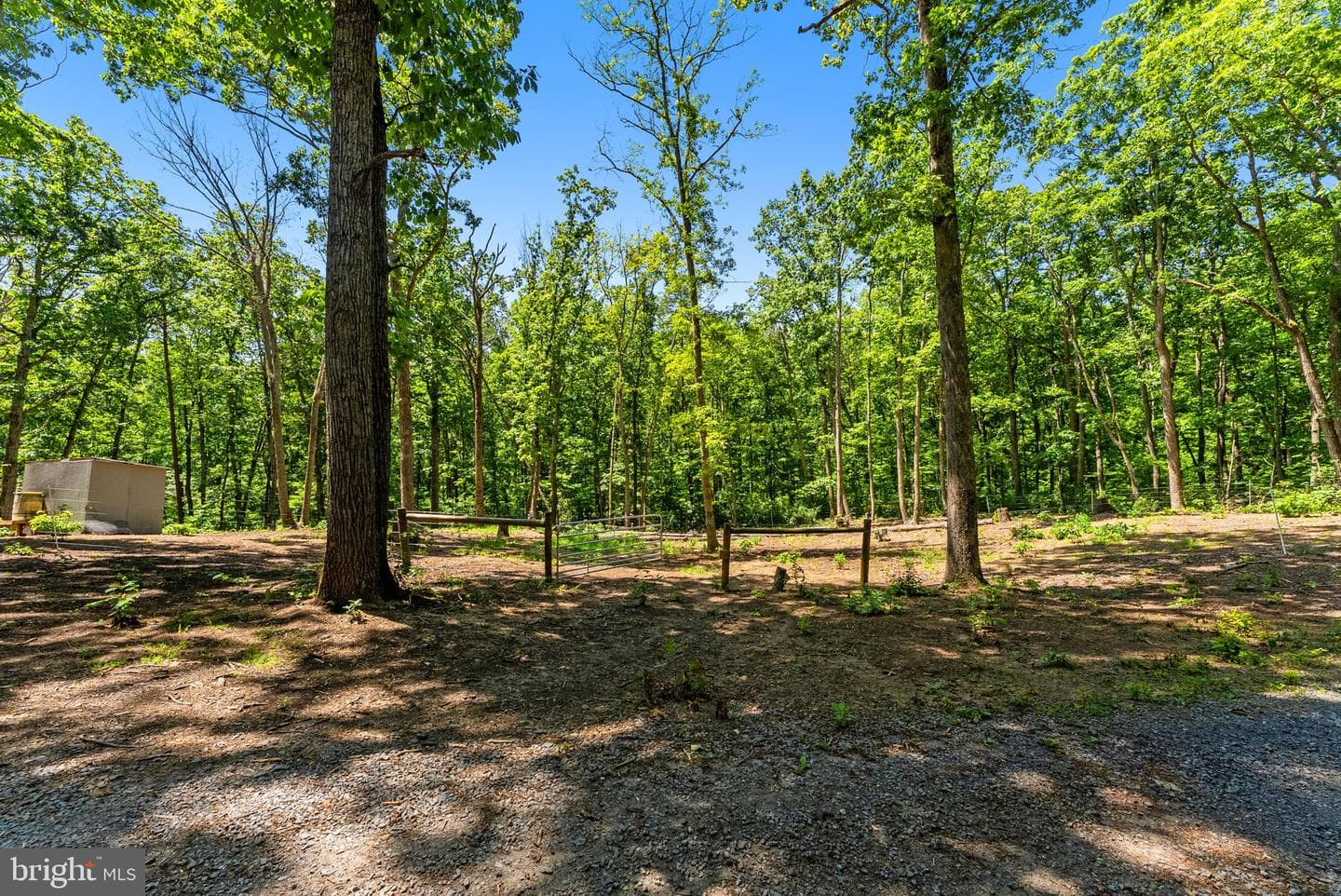 10275 Mountain Run Lake Road photo 86