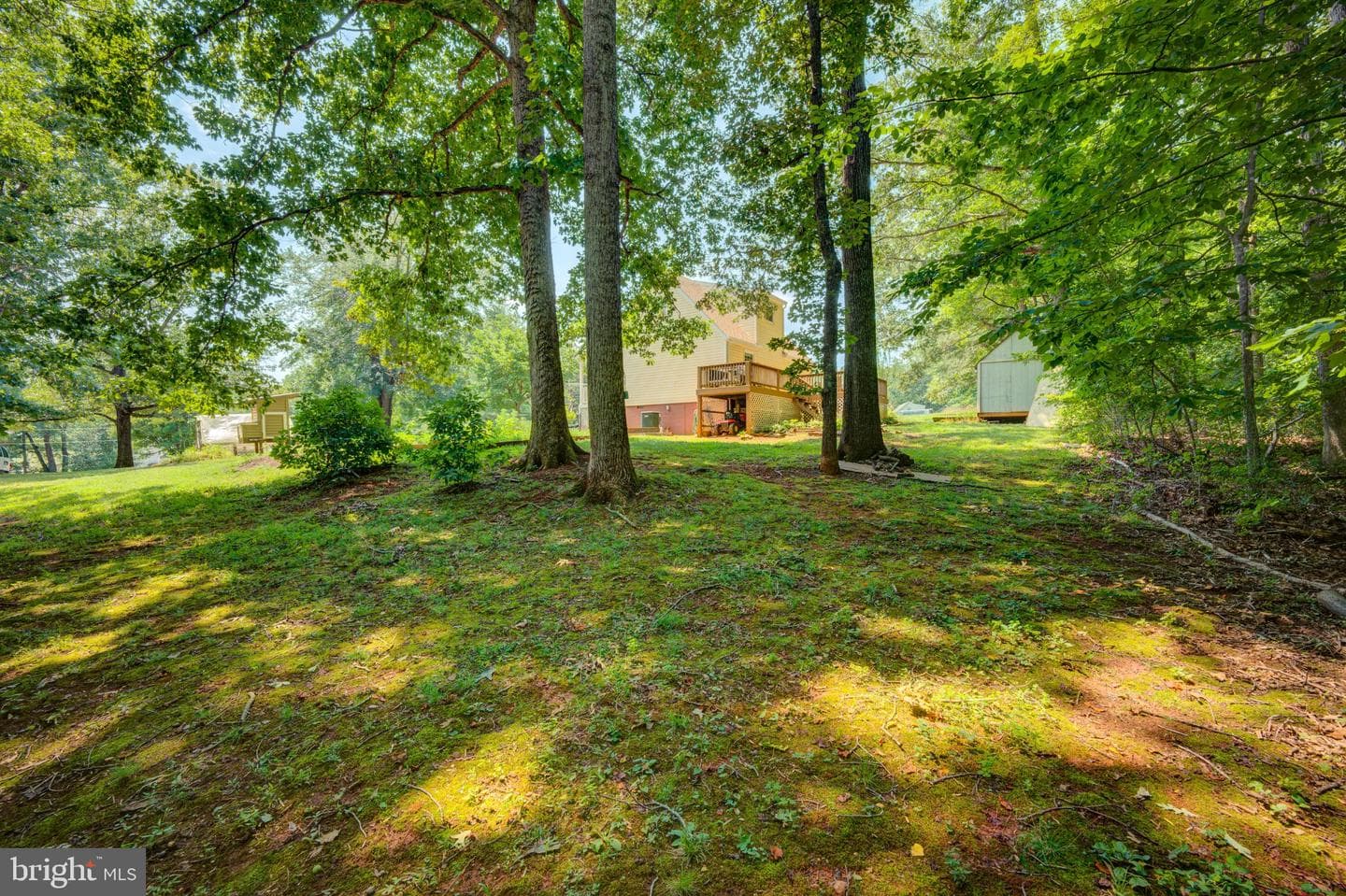 9595 Roys Lane photo 38