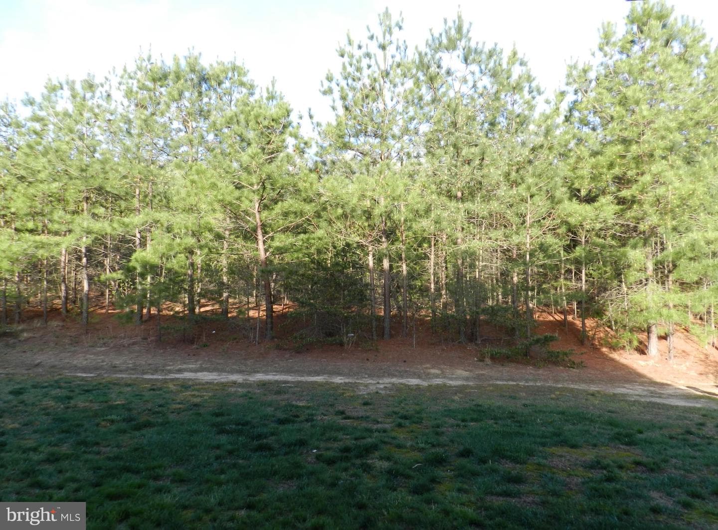 23208 Westwood Court photo 31