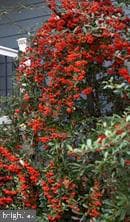 16 Merrimac Cove photo 65