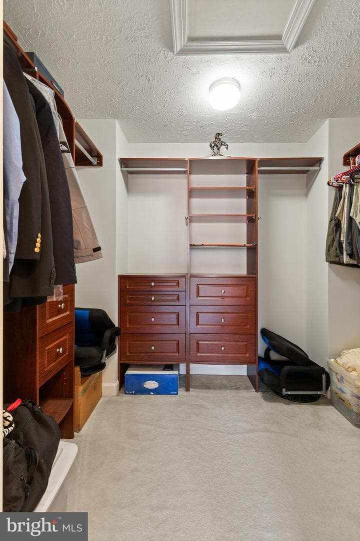 17207 Begonia Drive photo 14