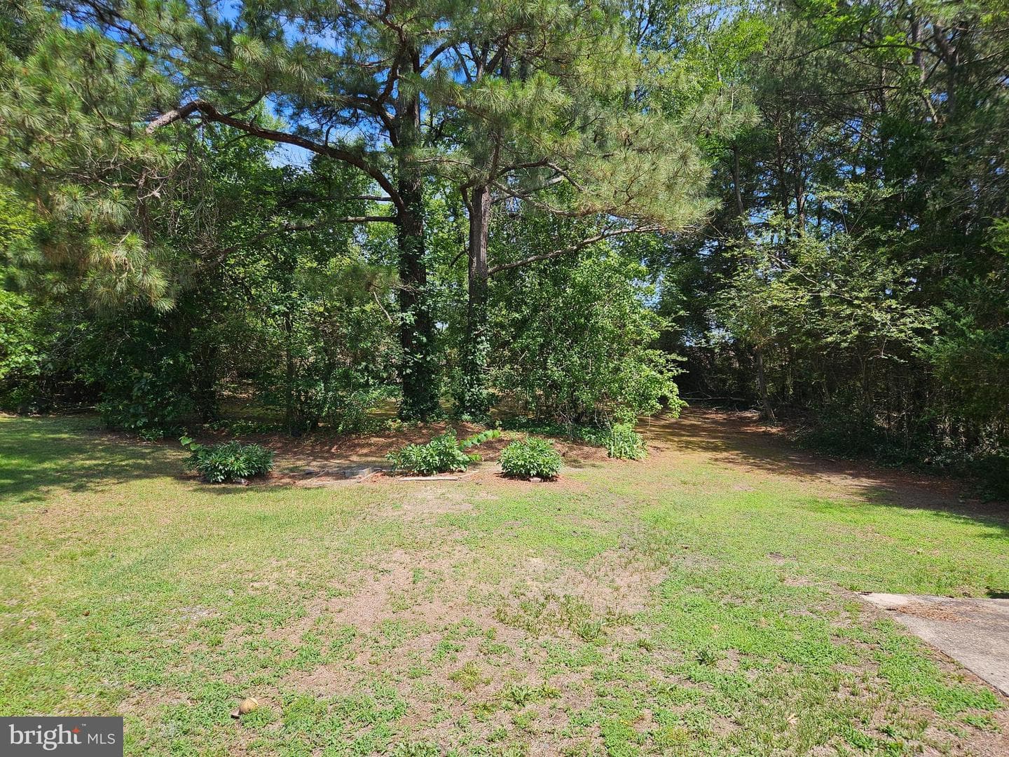 147 Chase Street photo 5