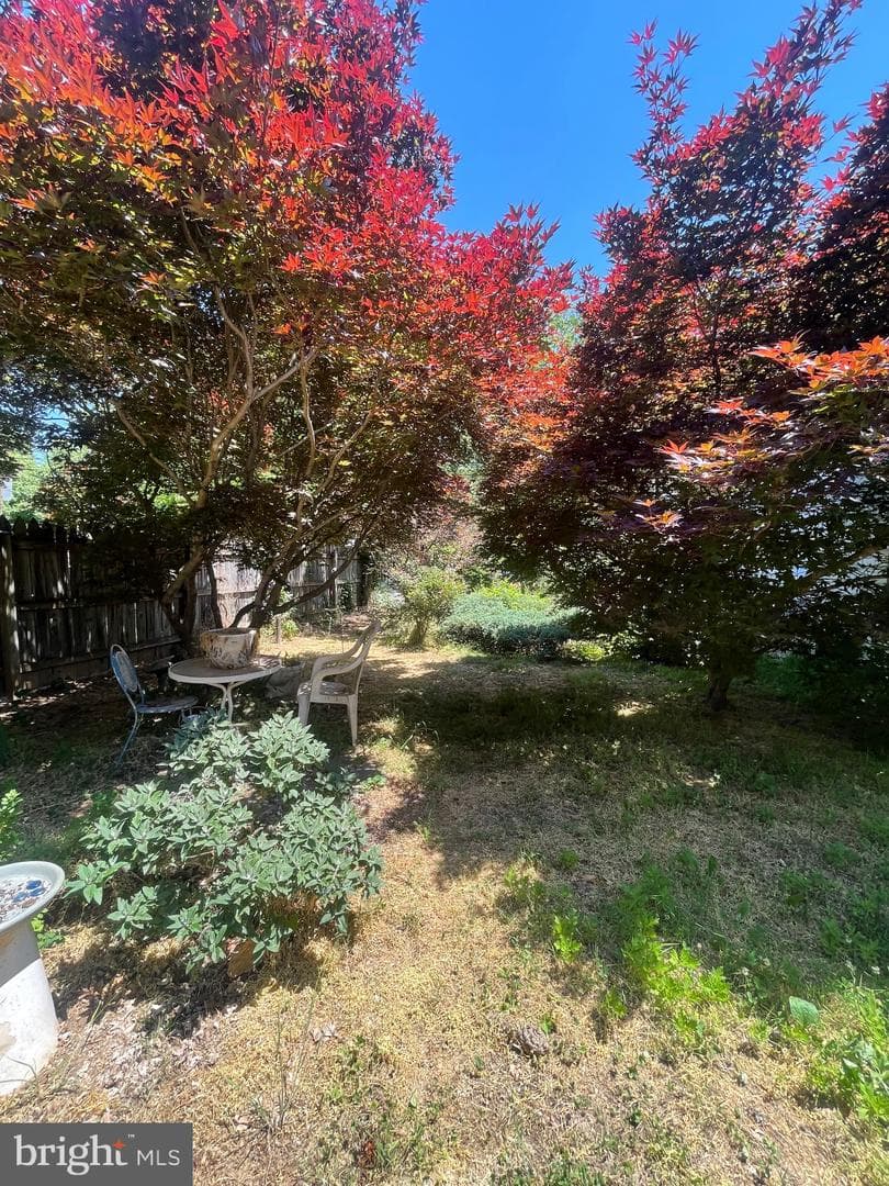 300 Prince Edward Street photo 43