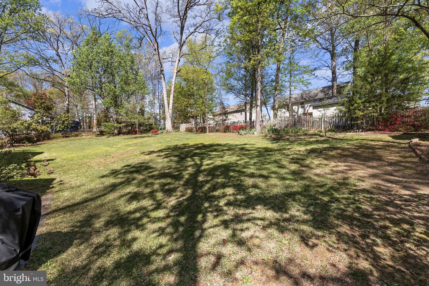 113 Poplar Drive photo 49