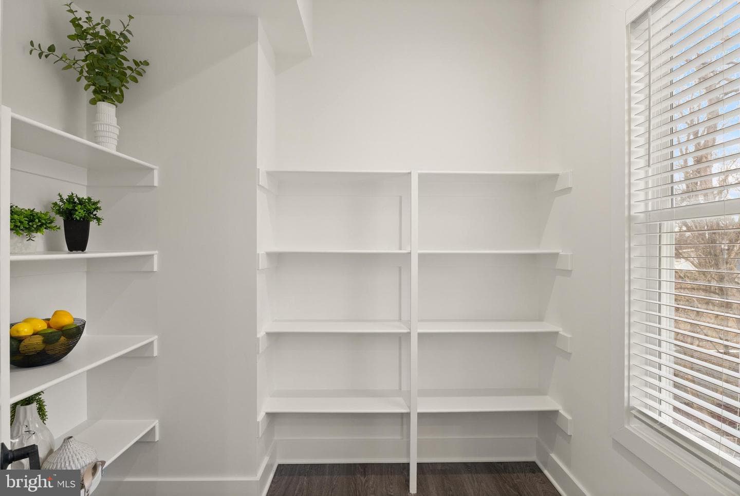 10634 Pocket Place photo 9