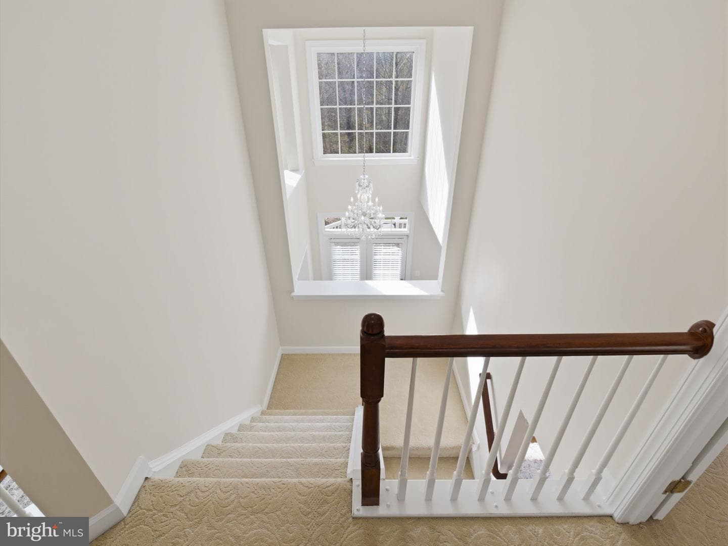 10123 Ratcliffe Manor Drive photo 102