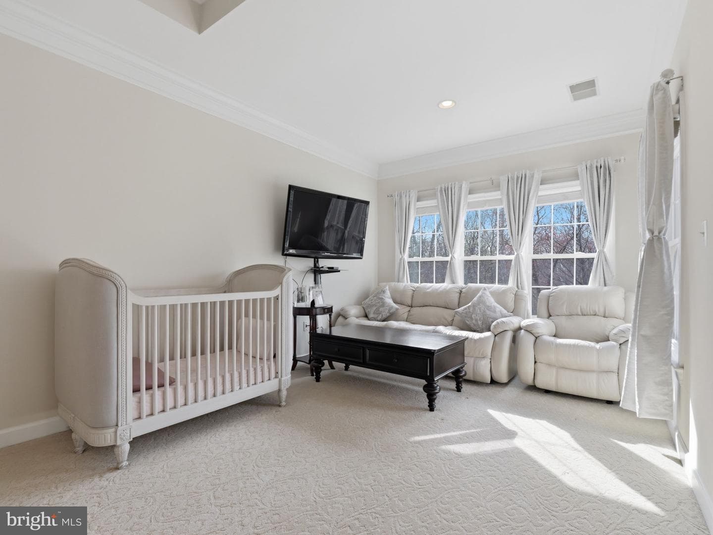 10123 Ratcliffe Manor Drive photo 108