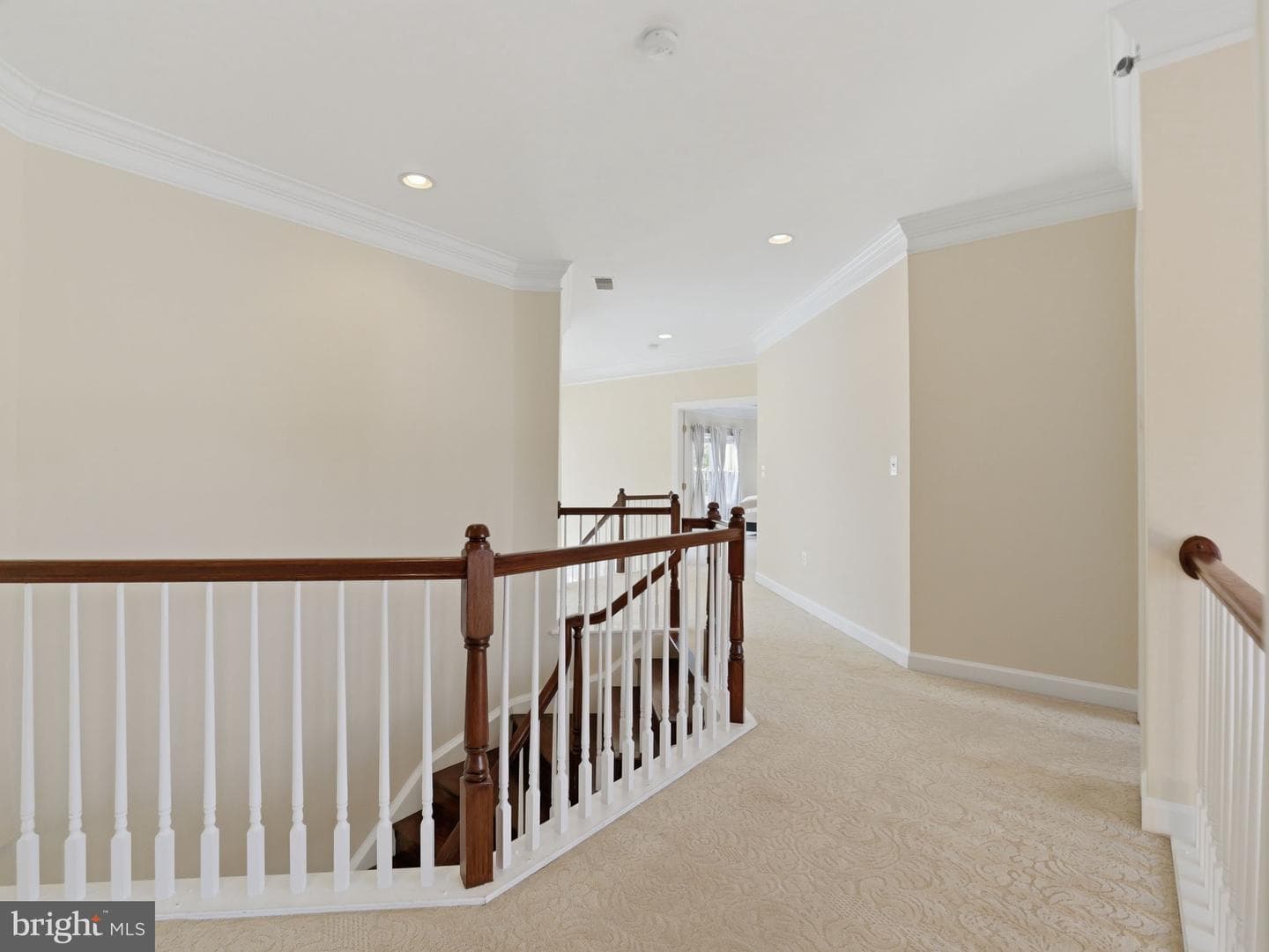 10123 Ratcliffe Manor Drive photo 130