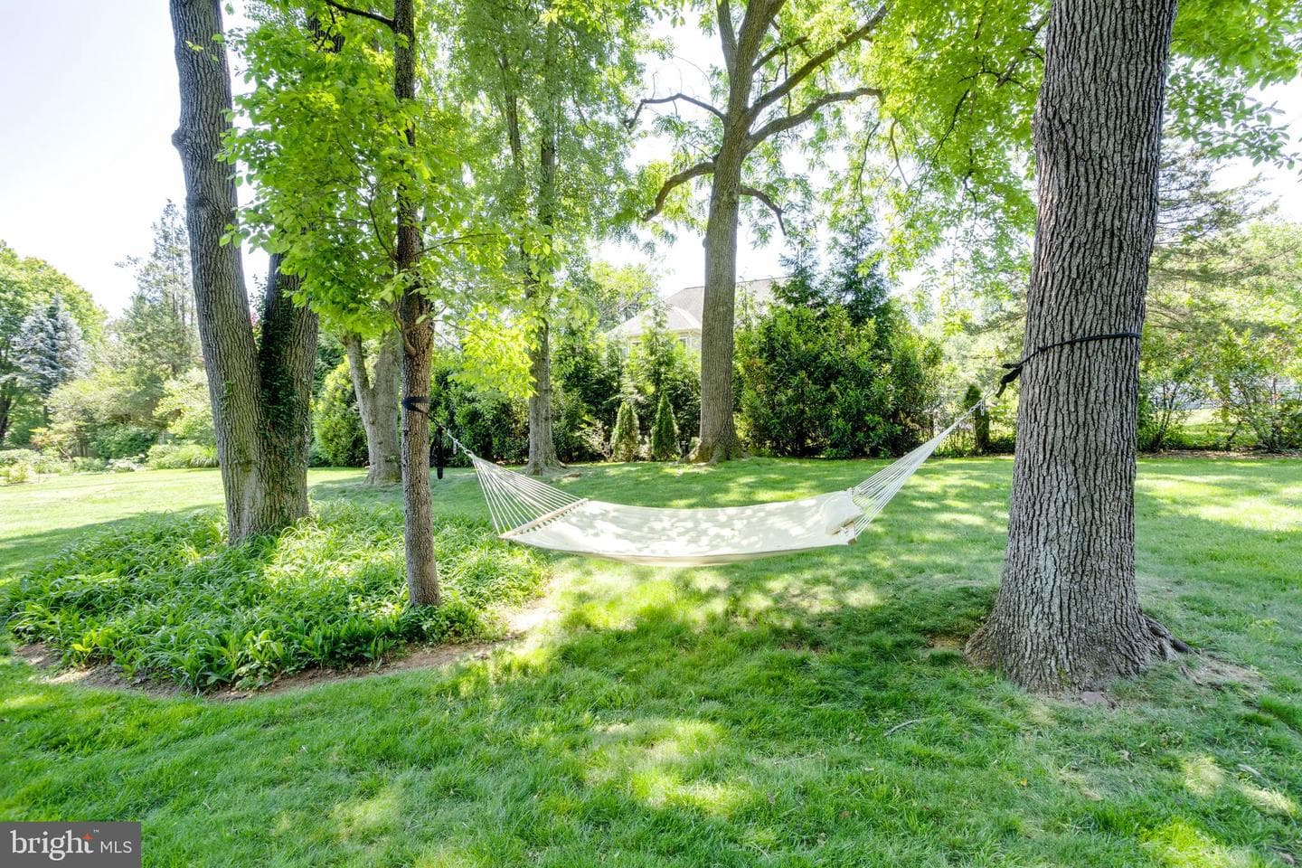 10501 Oak Place Court photo 50