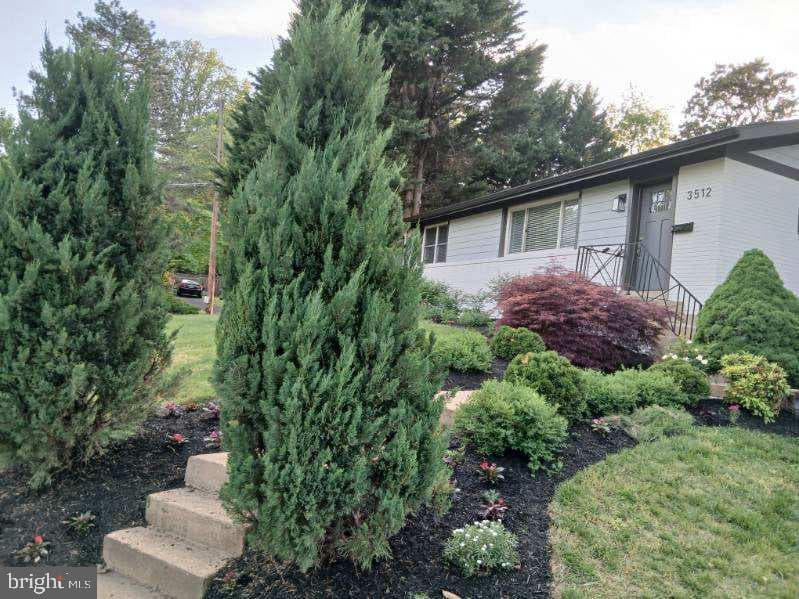 3512 Jean Street photo 3