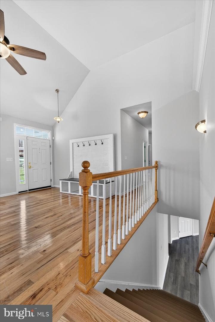 18 Chickasaw Place photo 29