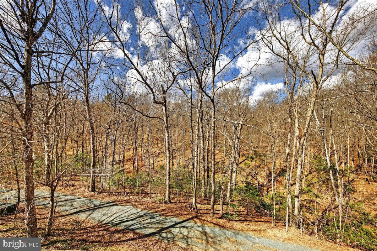 18 Chickasaw Place photo 55