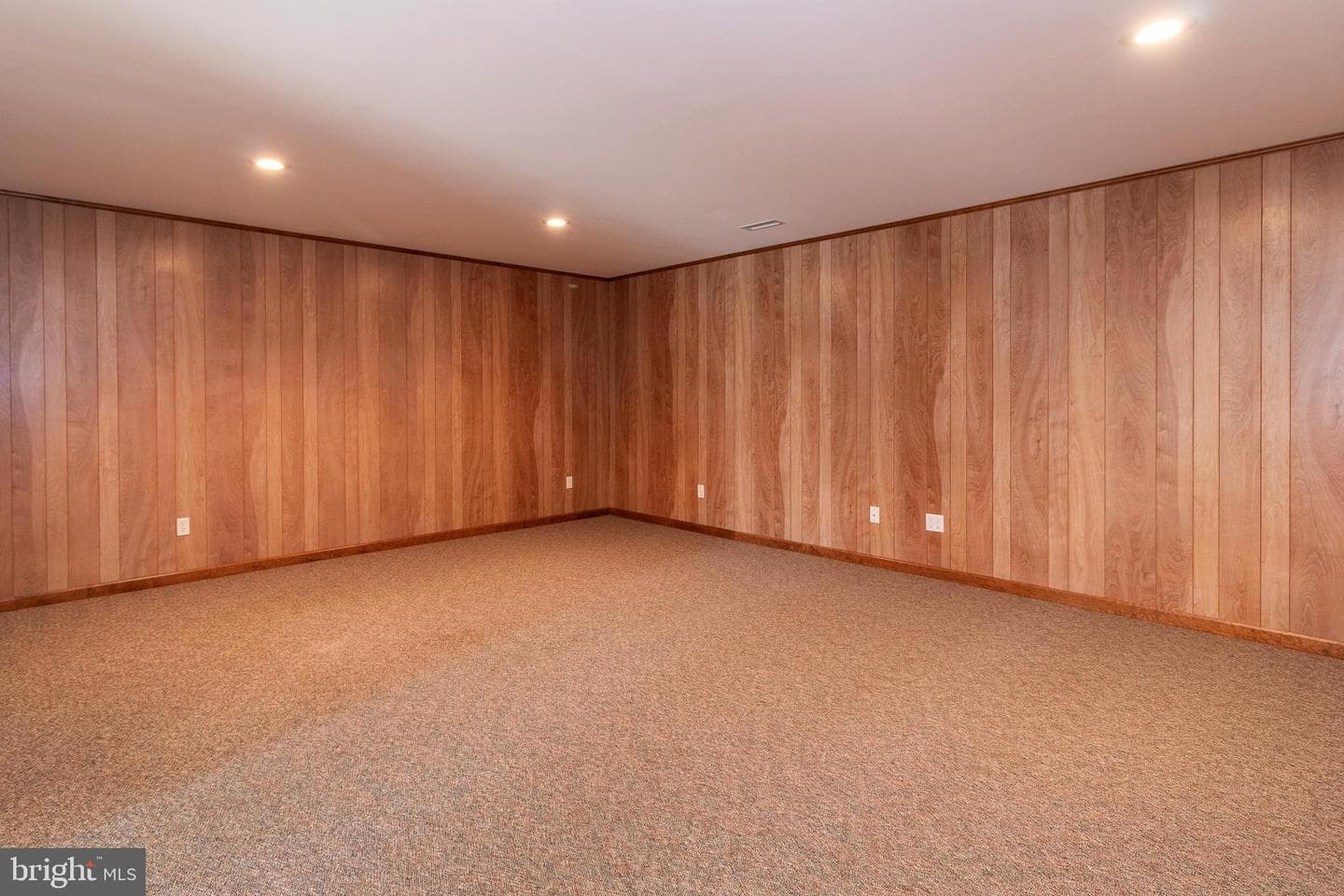 3 Albano Ct photo 35