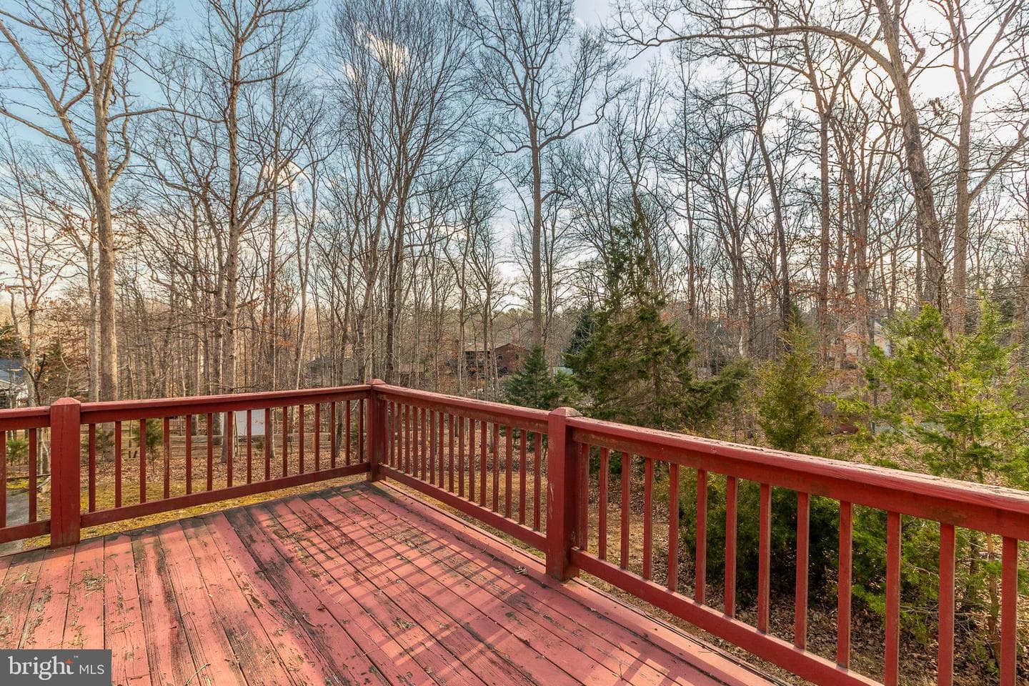 3 Albano Ct photo 9