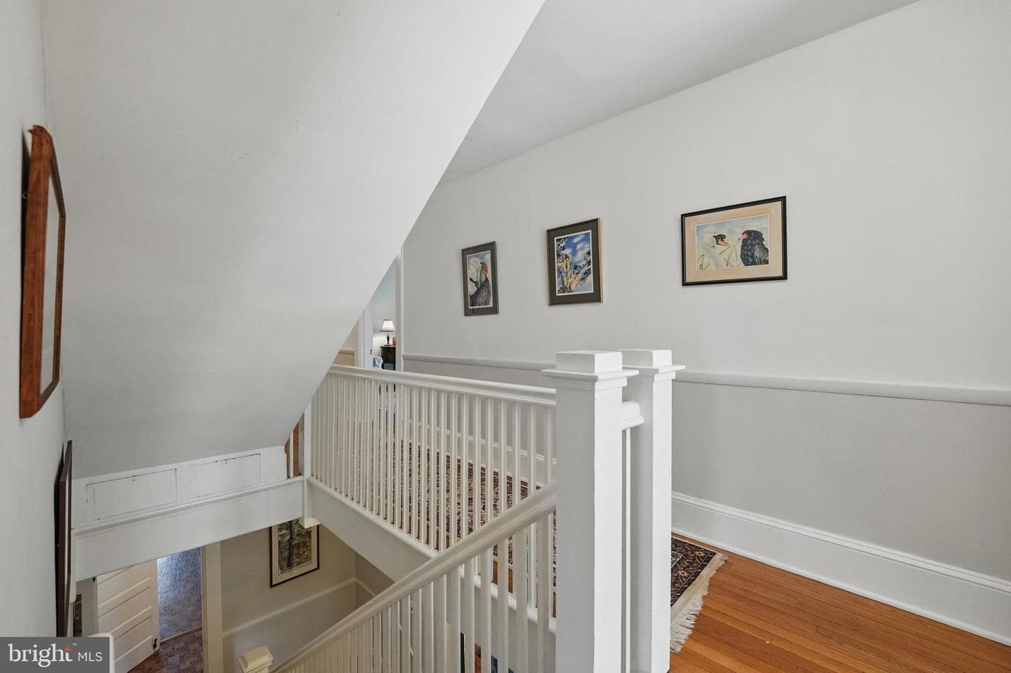 507 Winchester Street photo 21