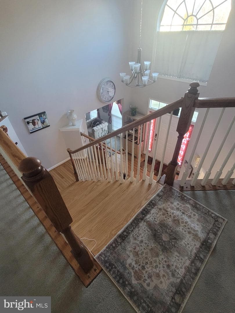 11358 Whipkey Drive photo 12