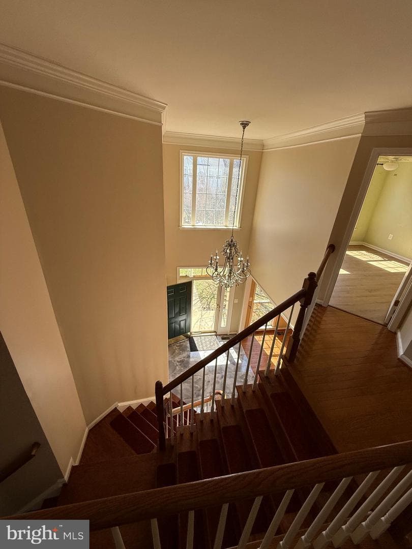 173 Autumn Wind Ct photo 44