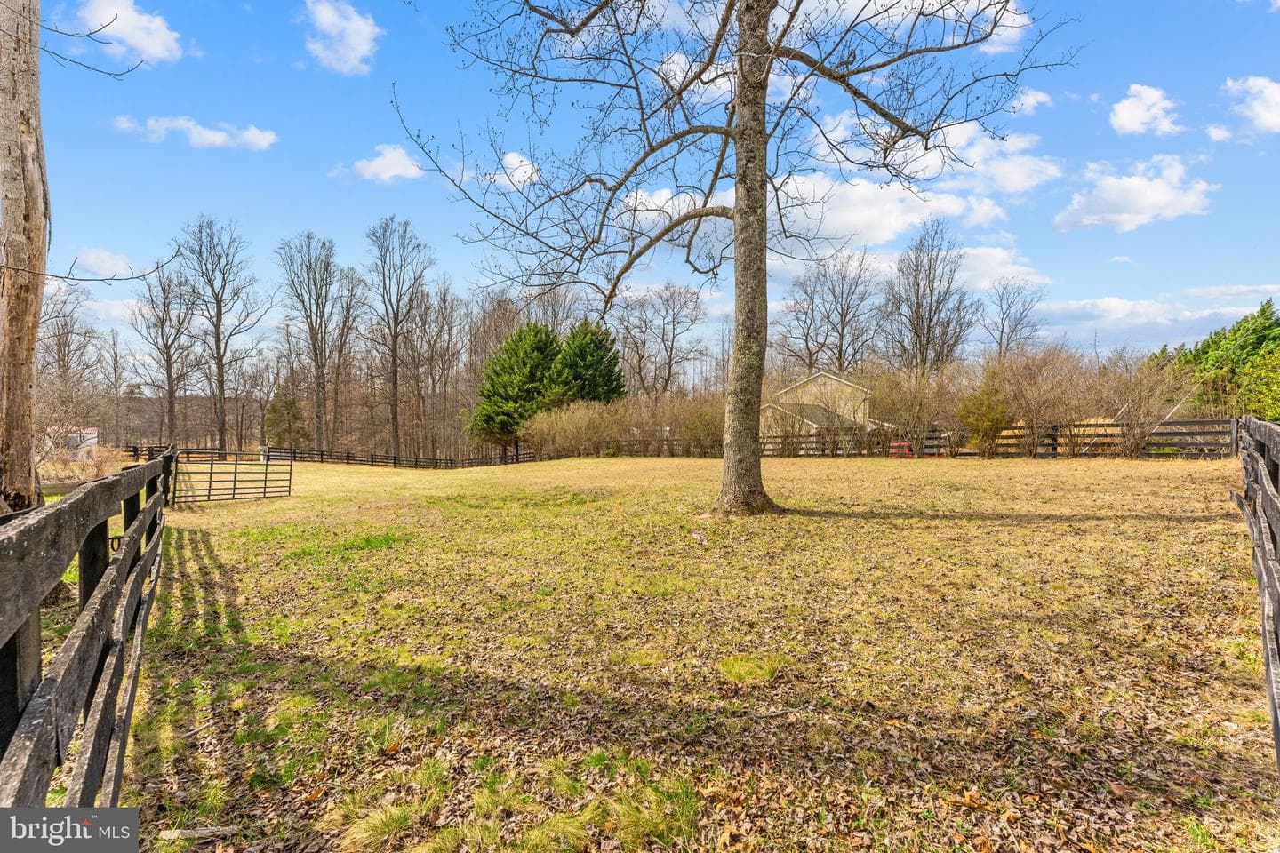 10507 Cliff Mills Road photo 52