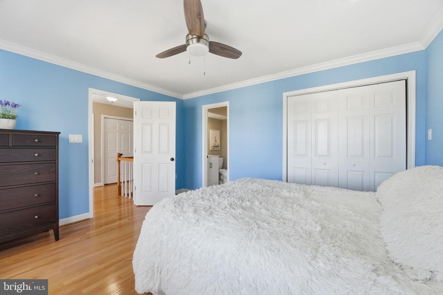 114 Erin Drive photo 41