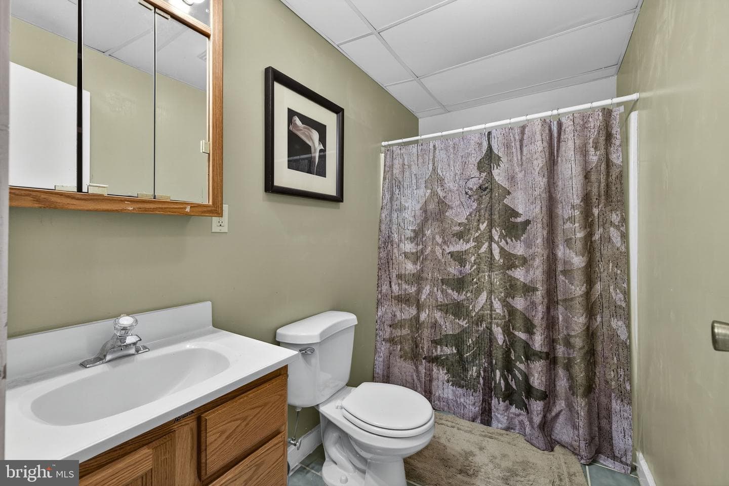 10418 Cliff Mills Rd photo 38