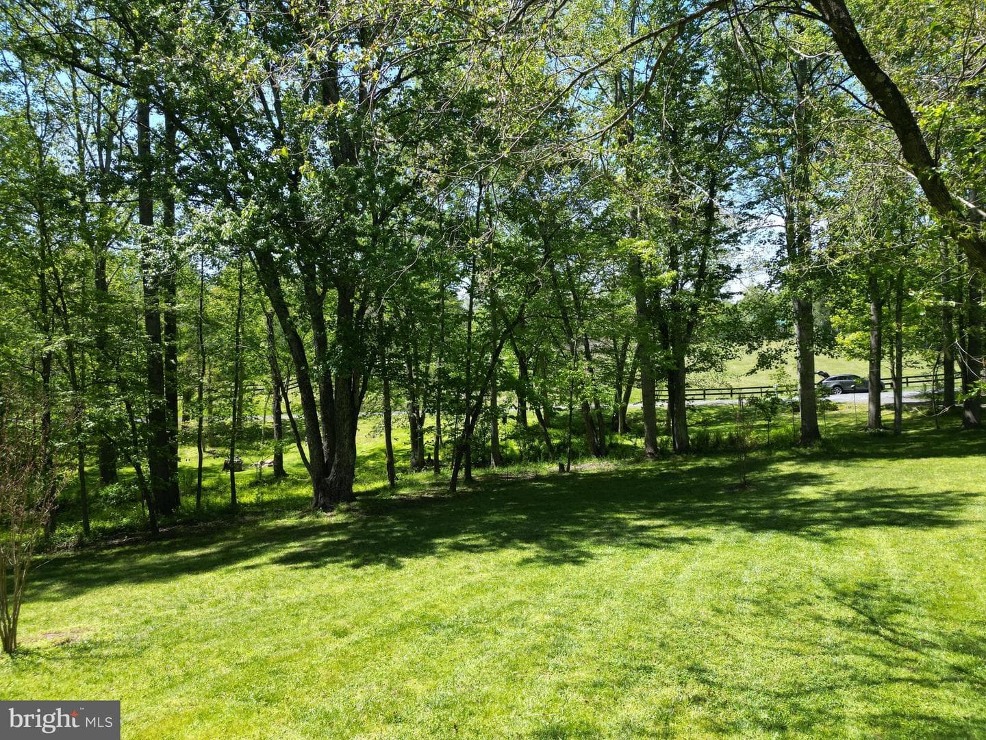 10418 Cliff Mills Rd photo 44
