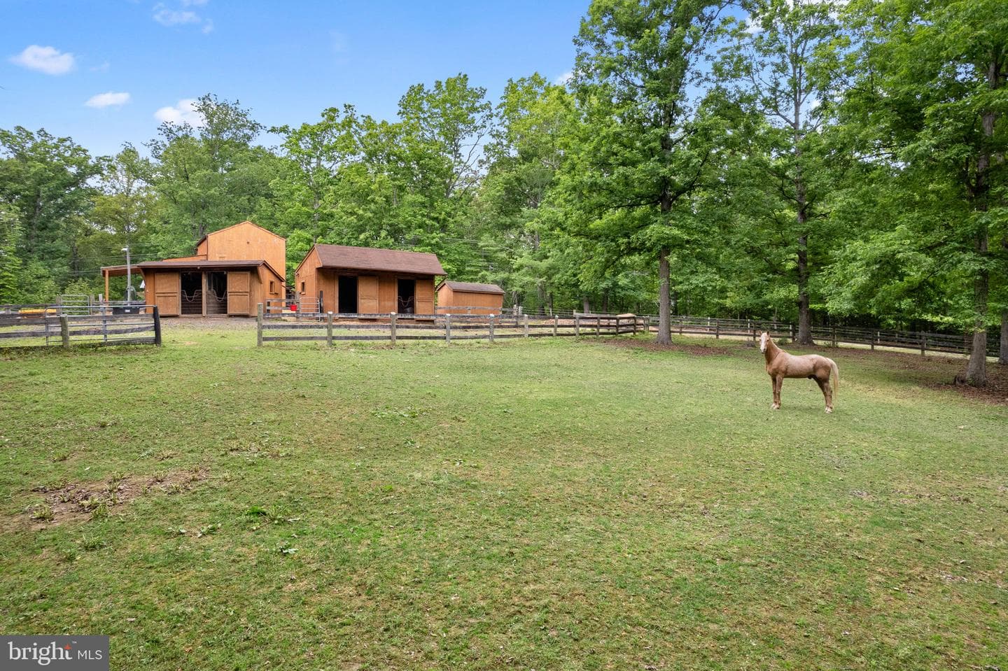 5099 Courtneys Corner Road photo 49