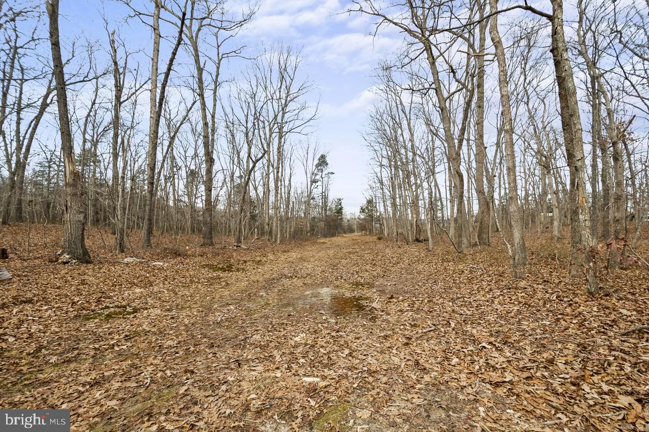 7389 Leeds Manor Road photo 15