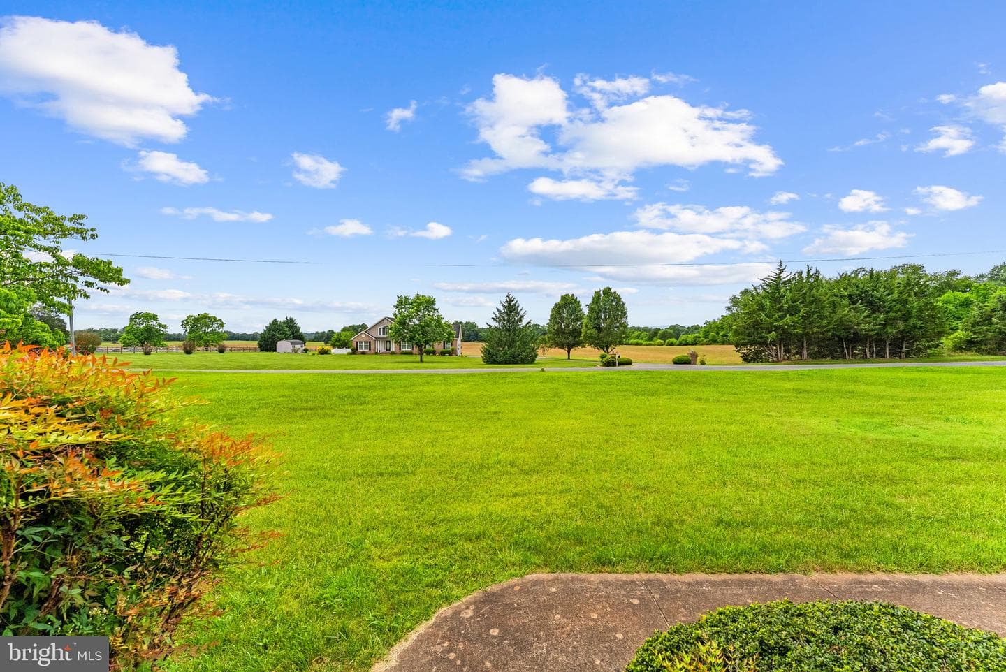 11889 Cemetery Road photo 67