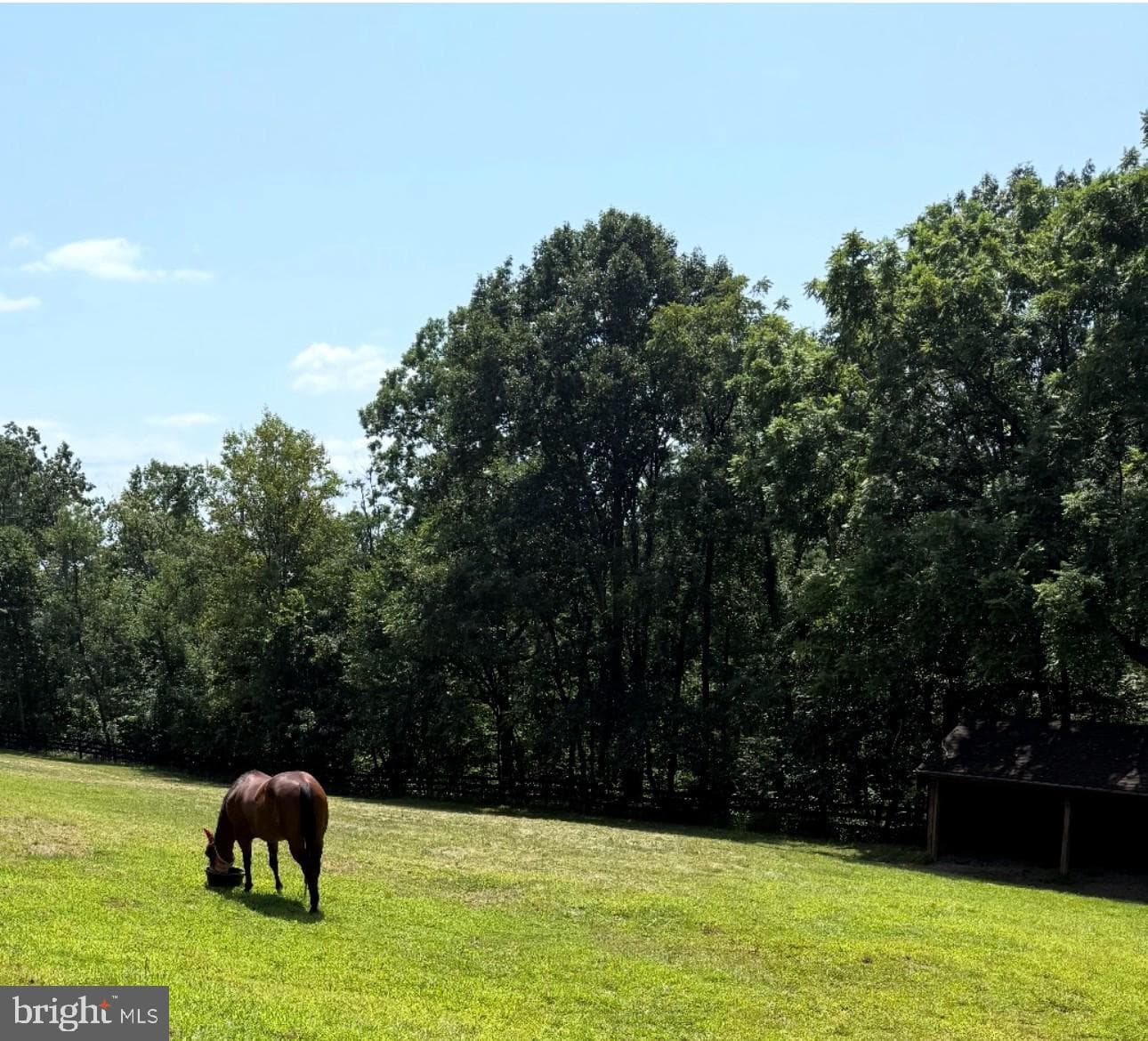 5221 Mountain View Drive photo 23