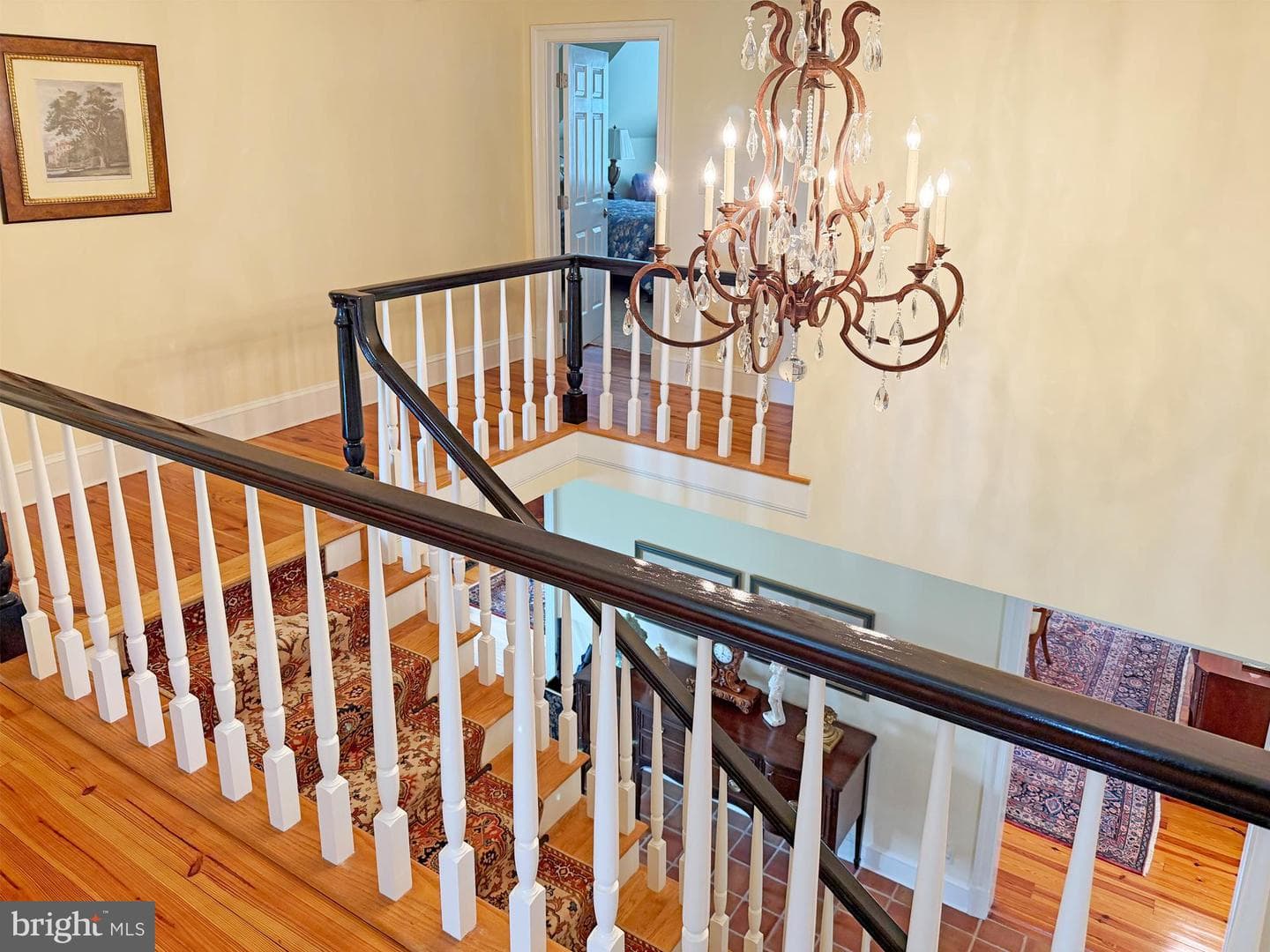 10590 Mountain Shadow Lane photo 14