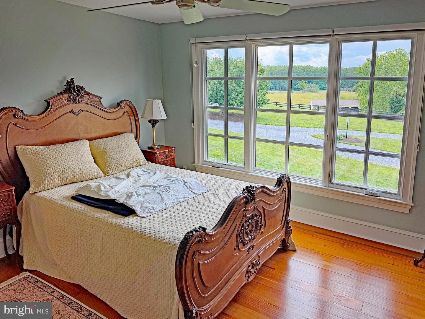10590 Mountain Shadow Lane photo 16