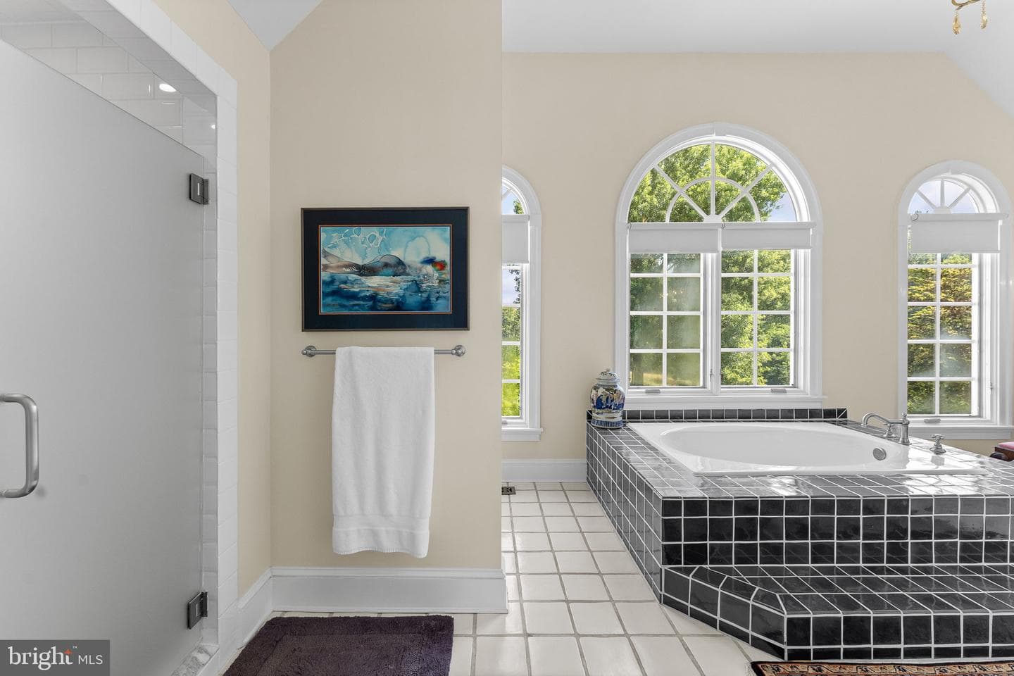 10590 Mountain Shadow Lane photo 39