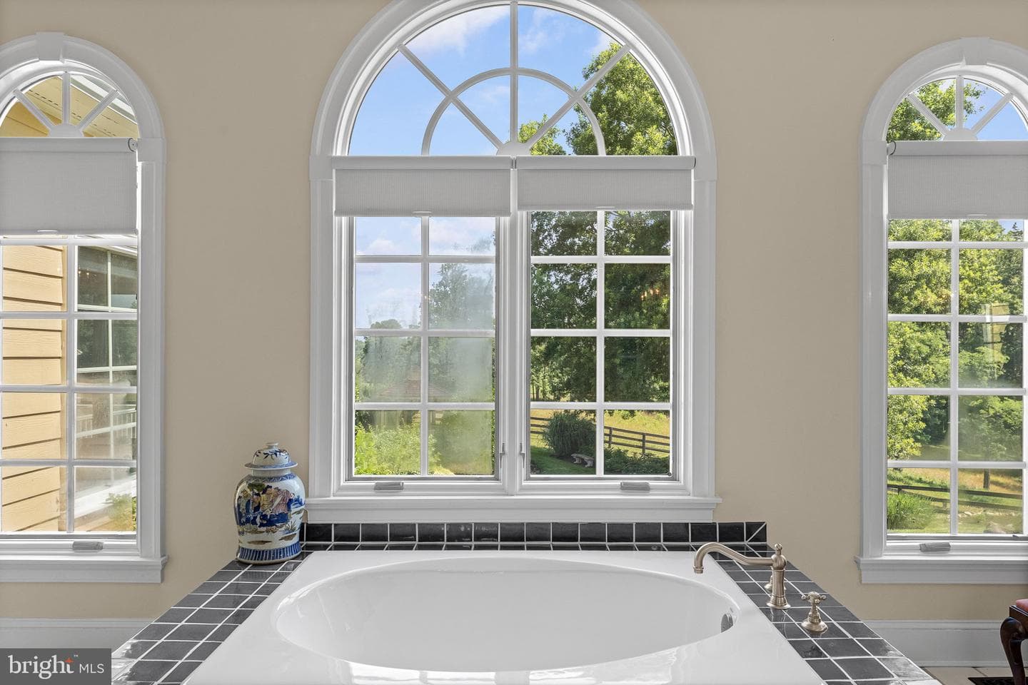 10590 Mountain Shadow Lane photo 42