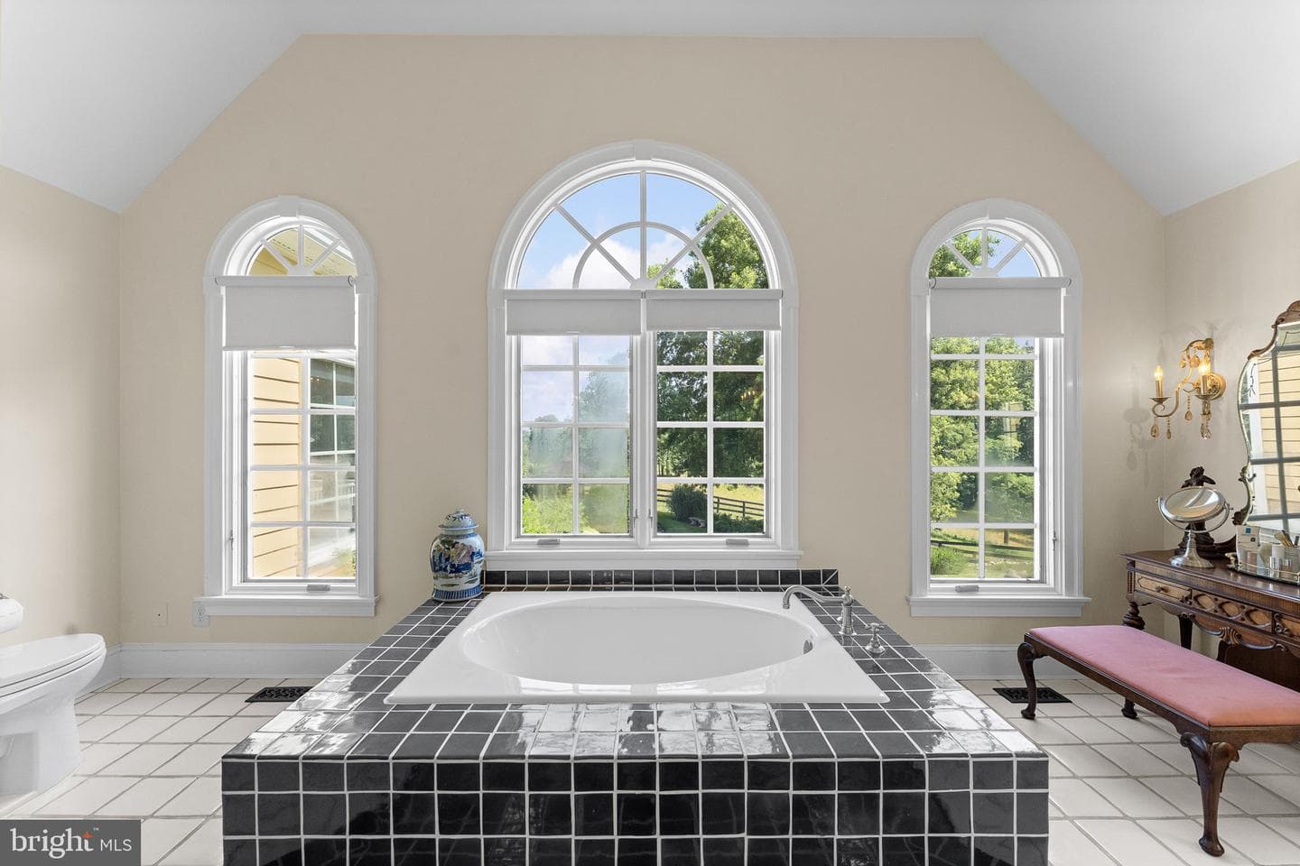 10590 Mountain Shadow Lane photo 43
