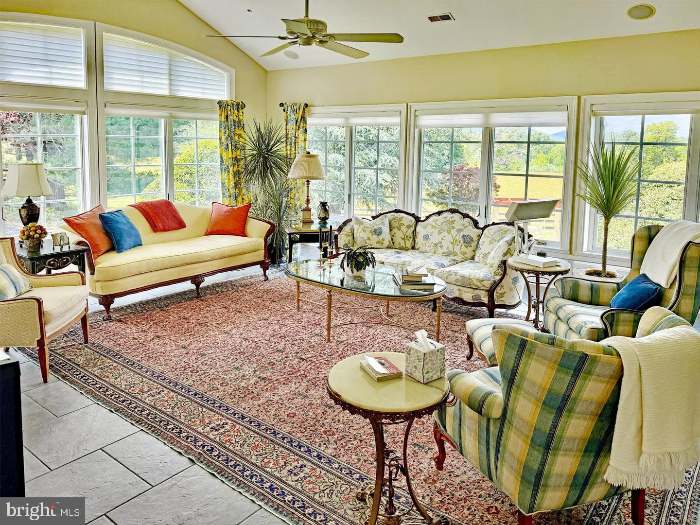 10590 Mountain Shadow Lane photo 5