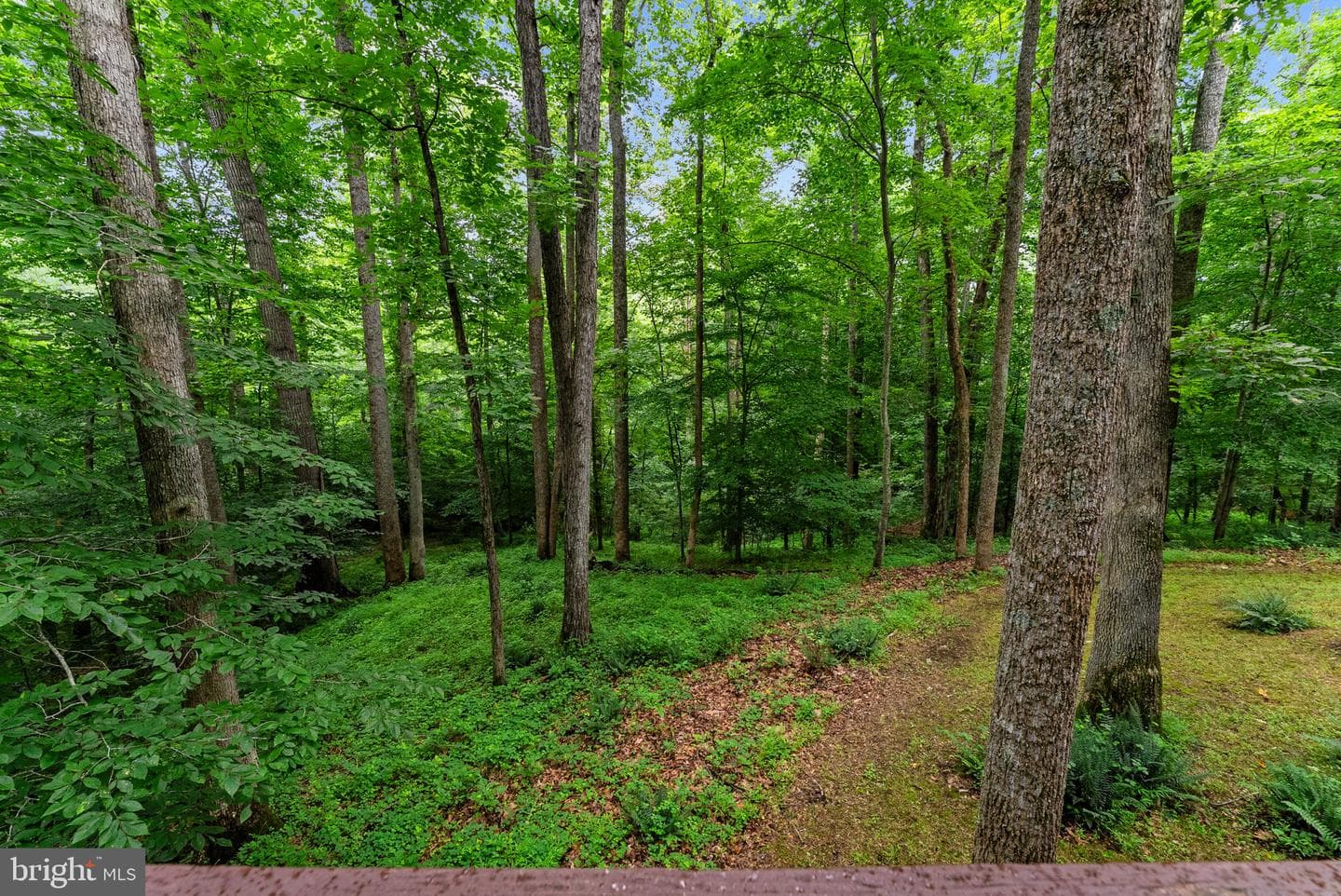 9914 Crest Court photo 105