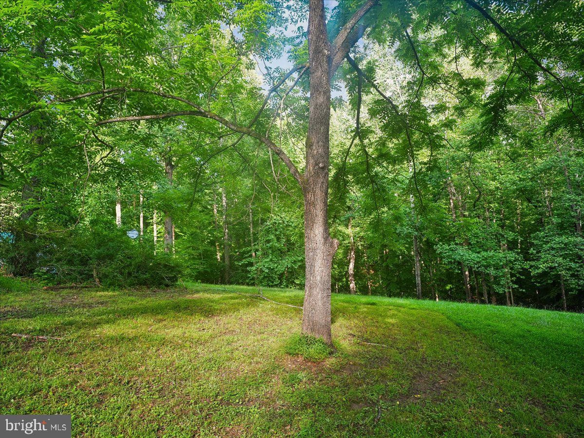 9935 Highland Drive photo 80